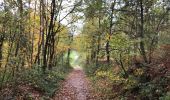 Tour Wandern Villers-la-Ville - Sart-Dames-Avelines, Baisy-Thy, La Roche, Villers-la-Ville - Photo 1