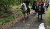 Tour Reiten Saint-Martin - rando equiplaine chez Tony et Jessica mais départ pour nous 2 de st Martin  - Photo 1