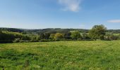 Tocht Stappen Vielsalm - rando ennal 11-05-2022 - Photo 19