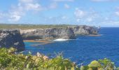 Tocht Stappen Anse-Bertrand - Porte d'Enfer - Pointe du Souffleur - Photo 3