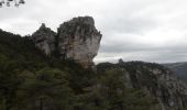 Excursión Senderismo Saint-Pierre-des-Tripiers - Sentier des corniches de la JONTE - Photo 4