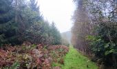 Percorso Marcia Seraing - les bois de l abbaye - Photo 7