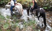 Trail Horseback riding Plainfaing - Acpl plainfaing le groube  - Photo 1