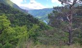 Percorso Marcia Gorges du Tarn Causses - les vignes  - Photo 1