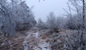 Tour Wandern Spa - petit tour de la fagne - berinzenne - Photo 12