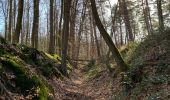 Trail Walking Halle - Bois de Halle - Photo 3