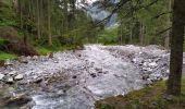 Tour Wandern Mallnitz - Seebach Cascades - Photo 9