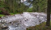 Excursión Senderismo Mallnitz - Seebach Cascades - Photo 9