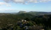 Excursión Bici de montaña La Roquebrussanne - Vallescure  - Photo 1