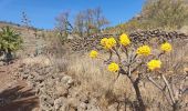 Tour Wandern Vallehermoso - Chipude - Alajero - Photo 4