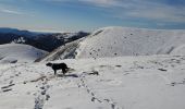 Excursión Raquetas de nieve Selonnet - chabanon selonnet 442m 7.5kms - Photo 3