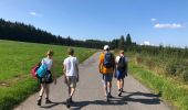 Tour Wandern Vielsalm - Bihain - Photo 20