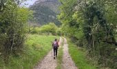 Trail  Châtillon-en-Diois - Châtillon en Diois col de Caux  - Photo 9