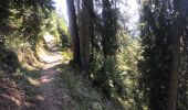 Tour Wandern Villard-sur-Doron - 20220825 CGH Beaufortain - Bisanne 1500  - Photo 1