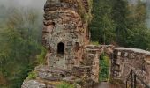 Trail Walking Wissembourg - Gr5J1 - Photo 1