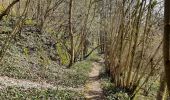 Trail Walking Dinant - Dinant - Anseremme - Photo 12