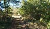 Trail Walking Larroque - Larroque en boucle - Photo 5
