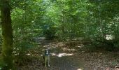Trail Walking Chiny - Chiny version courte - Photo 5