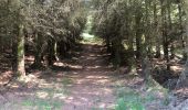Trail Walking Unknown - Ecosse parc naturel de Duror - Photo 1