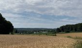 Tour  Attert - Balisage GR 15 - Photo 1