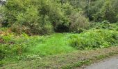 Tour Wandern Bueil-en-Touraine - Bueil-en-Touraine - Autour de la vallée du Long - Photo 16