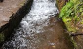 Tocht Stappen Calheta - Madère : de Rabaçal vers les 25 sources - Photo 12