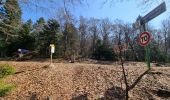 Trail Walking Plainfaing - rudlin - Photo 4