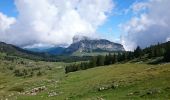 Randonnée Marche Entremont-le-Vieux - Croix de l Alpe Le Pinet  - Photo 3