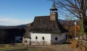 Tour Zu Fuß Neuschönau - Habicht - Photo 5