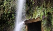 Randonnée Marche Porto Moniz - Gorge de la Ribeira da Janela et sa belle cascade (Rother n°60) - Photo 10