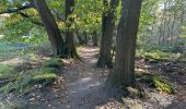 Trail Walking Loon op Zand - Loonse Park Roestelberg 22,8 km - Photo 1