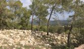 Trail On foot Mate Yehuda Regional Council - IL-9444 - Photo 2