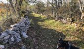 Trail Walking Loubressac - Laguizayrie - Photo 7