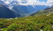 Trail Walking Chamonix-Mont-Blanc -  Depuis le télécabine de La Flégère jusqu'au refuge et Lac Blanc et descente bouclée par les Lacs des Chéserys - Photo 3