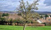 Randonnée Marche Vaires-sur-Marne - Boucle Vaires sur Marne / Noisiel / Chelles - Photo 13