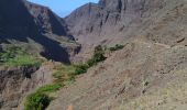 Excursión Senderismo Chã d'Orgueiro (Alto Mira III) - AT/CV 101 - Photo 16