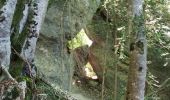 Excursión Senderismo Die - Le Dôme ou Pié Ferré de l'Abbaye Valcroissant - Photo 13