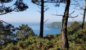 Trail Walking Crozon - FINISTÈRE-  CAP de la CHÈVRE  - Photo 9