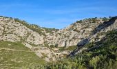 Excursión Senderismo Évenos - du col de garde vers le gros cap - Photo 9