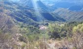 Tocht Stappen Toudon - Cime des Colettes par col de Vial - Photo 1