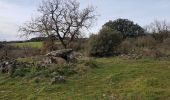 Randonnée Marche nordique Octon - Octon Dolmens de Toucou - Photo 4