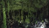 Tour Wandern Gemeinde Psichron - Grotte de Zeus-Psychro - Photo 1