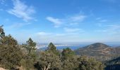 Trail Walking Mandelieu-la-Napoule - Esterel volcan - Photo 5