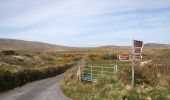 Randonnée A pied West Cork - Glanlough Loop - Photo 3