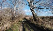 Trail Walking Entraigues-sur-la-Sorgue - entraigues 84 berges des sorgues  - Photo 3