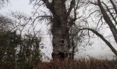 Tour Wandern La Nouaille - la boucle du Puy Riau - Photo 3