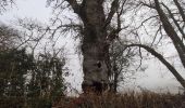 Randonnée Marche La Nouaille - la boucle du Puy Riau - Photo 3