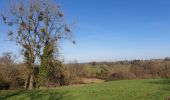 Tocht Stappen Cerfontaine - Balade autour de Silenrieux - Photo 7