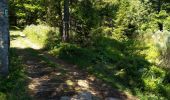 Tour Wandern Borée - les Suc de Bonnefoy - Photo 1