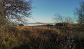 Excursión Senderismo Villeneuve-lès-Maguelone - Villeneuve les Salins - Photo 8